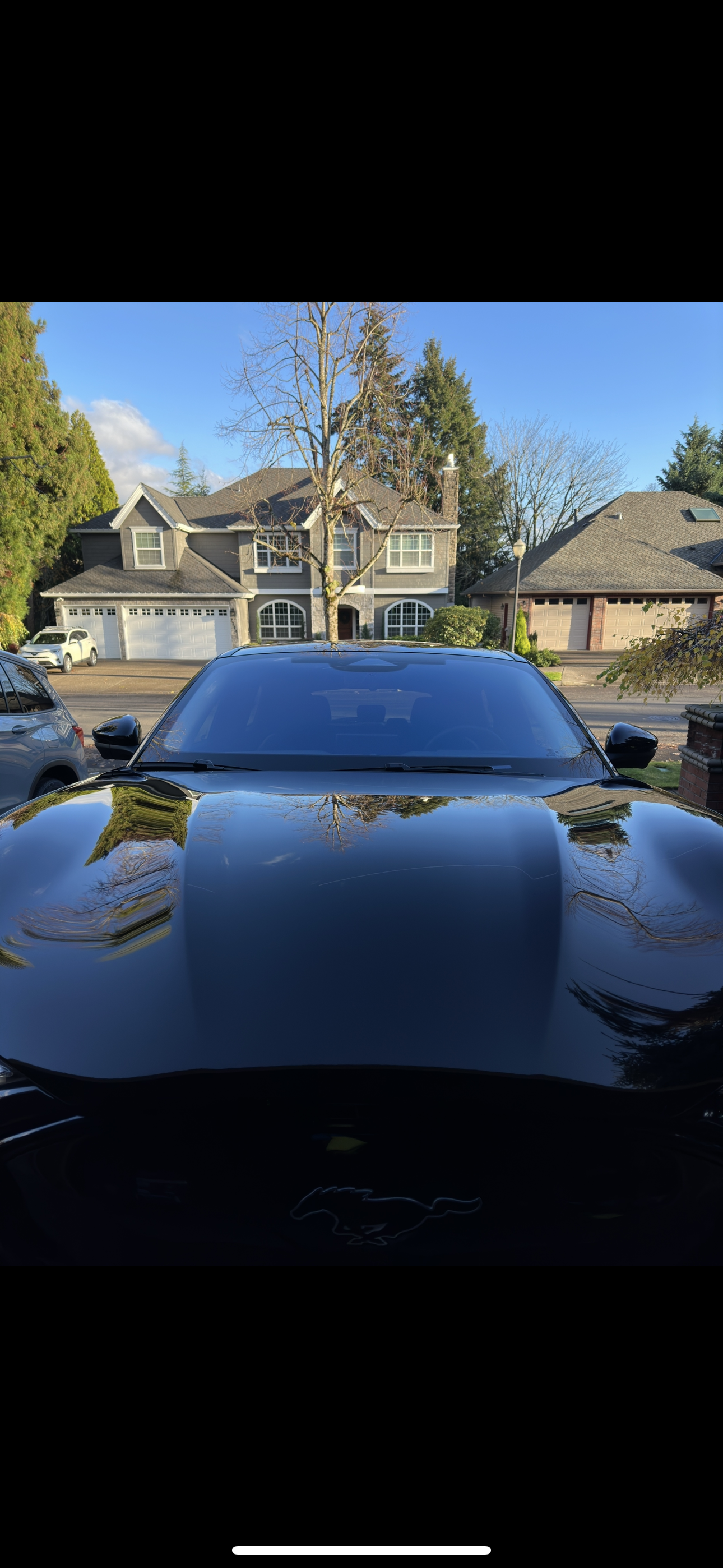 Ceramic Coating Pure Green PDX