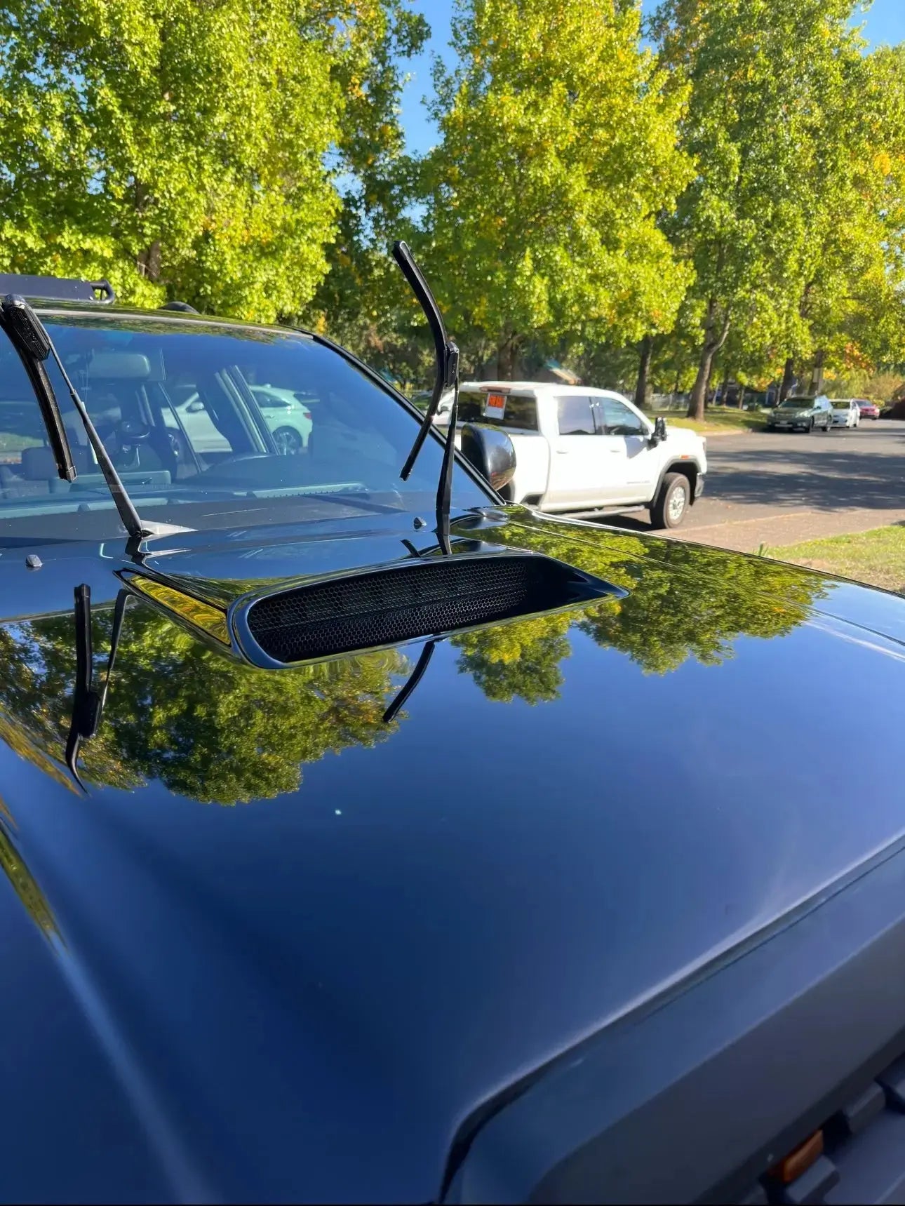 Ceramic Coating Pure Green PDX