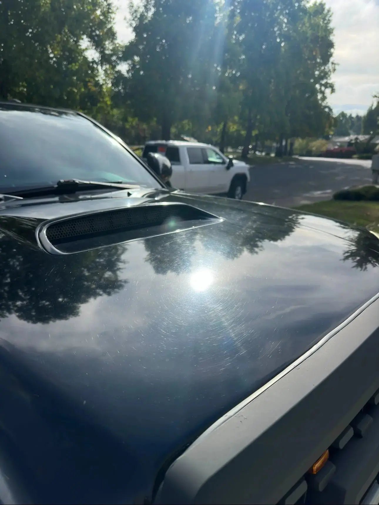 Ceramic Coating Pure Green PDX