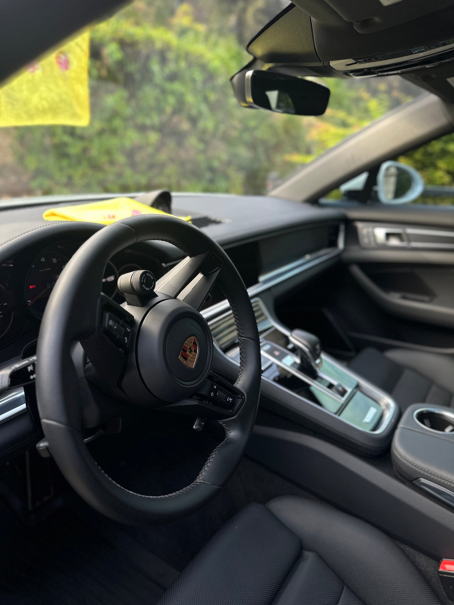 Premium Interior Detail Pure Green PDX